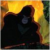 Tarzan : photo