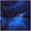 Tarzan : photo