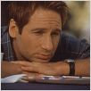 Evolution : photo David Duchovny, Ivan Reitman