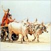 Lagaan : photo