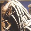 Predator 2 : Photo Stephen Hopkins