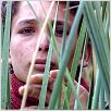 Zaman, l'homme des roseaux : photo