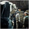 H2G2 : le guide du voyageur galactique : photo Garth Jennings, Martin Freeman, Yasiin Bey