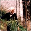 En attendant les nuages : photo Yeşim Ustaoğlu