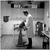 Entre ses mains : photo Anne Fontaine, Benoît Poelvoorde