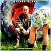 Je vous trouve très beau : affiche Isabelle Mergault, Michel Blanc