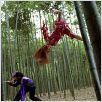 Dead or Alive : photo Corey Yuen, Devon Aoki, Natassia Malthe
