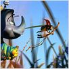 1001 Pattes : photo Andrew Stanton, John Lasseter
