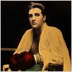 Un Direct au coeur : photo Elvis Presley, Phil Karlson