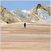 La possibilité d'une île : photo Michel Houellebecq