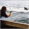 Les Dents de la Mer : photo Roy Scheider, Steven Spielberg