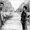 Down by Law : photo Jim Jarmusch, John Lurie, Roberto Benigni, Tom Waits