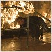 Quantum Of Solace : photo Daniel Craig, Marc Forster