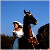 Just married (ou presque) : photo Garry Marshall, Julia Roberts