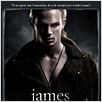 Twilight - Chapitre 1 : fascination : affiche Cam Gigandet, Catherine Hardwicke, Stephenie Meyer