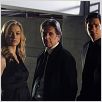 Chuck : photo Gary Cole, Yvonne Strahovski, Zachary Levi