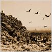 Waste Land : photo Lucy Walker