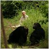 Jane Goodall : retour à Gombe : photo