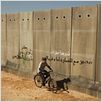 Le cochon de Gaza : photo Sylvain Estibal