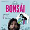 Bonsái : affiche