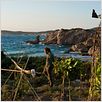 Nicostratos le pélican : photo Emir Kusturica, Olivier Horlait