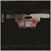 Bonded by Blood : photo