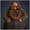 Le Hobbit : un voyage inattendu : photo Stephen Hunter