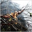 Raavanan : photo