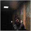 The Raid : photo