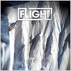 The Art of Flight 3D : affiche