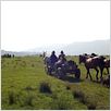 Hors des sentiers battus : photo