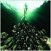 Piranha 3DD : affiche