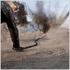 Ghost Rider : L'Esprit de Vengeance : Photo