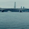 078219.jpg