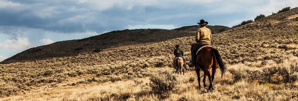 Yellowstone - Série TV 2018 - AlloCiné