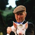 Babe, le cochon dans la ville : Photo James Cromwell