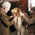 Lassie : photo Charles Sturridge, Peter O'Toole