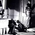 Le Rebelle : Photo Gary Cooper, Patricia Neal