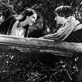 Roméo et Juliette : photo Franco Zeffirelli, Leonard Whiting, Olivia Hussey
