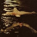 L'espion qui m'aimait : photo Ian Fleming, Lewis Gilbert, Richard Kiel