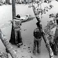 Down by Law : photo Jim Jarmusch, John Lurie, Roberto Benigni, Tom Waits