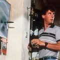 Un Poisson nommé Wanda : photo Charles Crichton, Michael Palin
