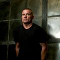 Prison Break : Photo Dominic Purcell