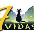 Photo : 7 Vidas