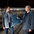 Ripoux Anonymes : photo Cédric Ben Abdallah, Laurent Gamelon