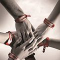 Photo : Les Bracelets rouges