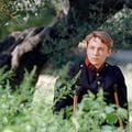 Renoir : photo Vincent Rottiers