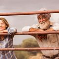 Tracks : Photo John Flaus, Mia Wasikowska