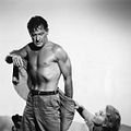 Picnic : Photo Kim Novak, William Holden