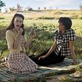 Photo Olivia Williams, Rachel Brosnahan